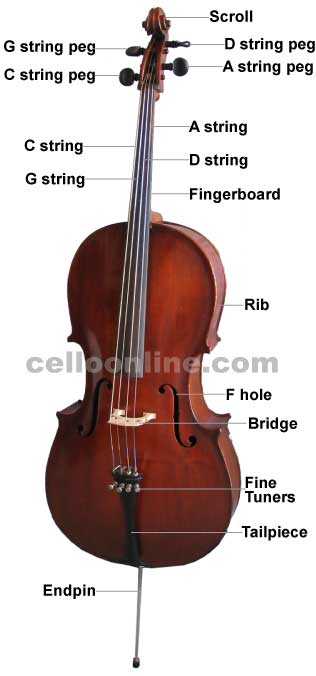 violin parts